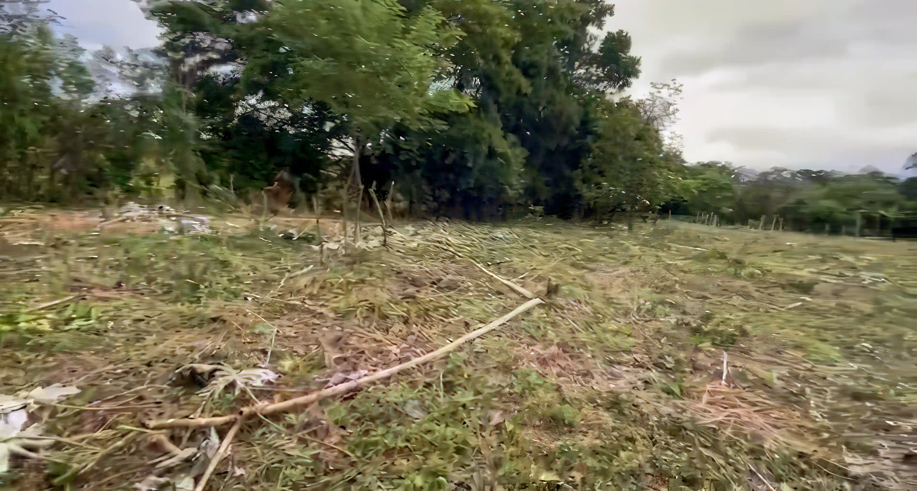 Land for Sale in Guaca, David, Chiriqui, Panama