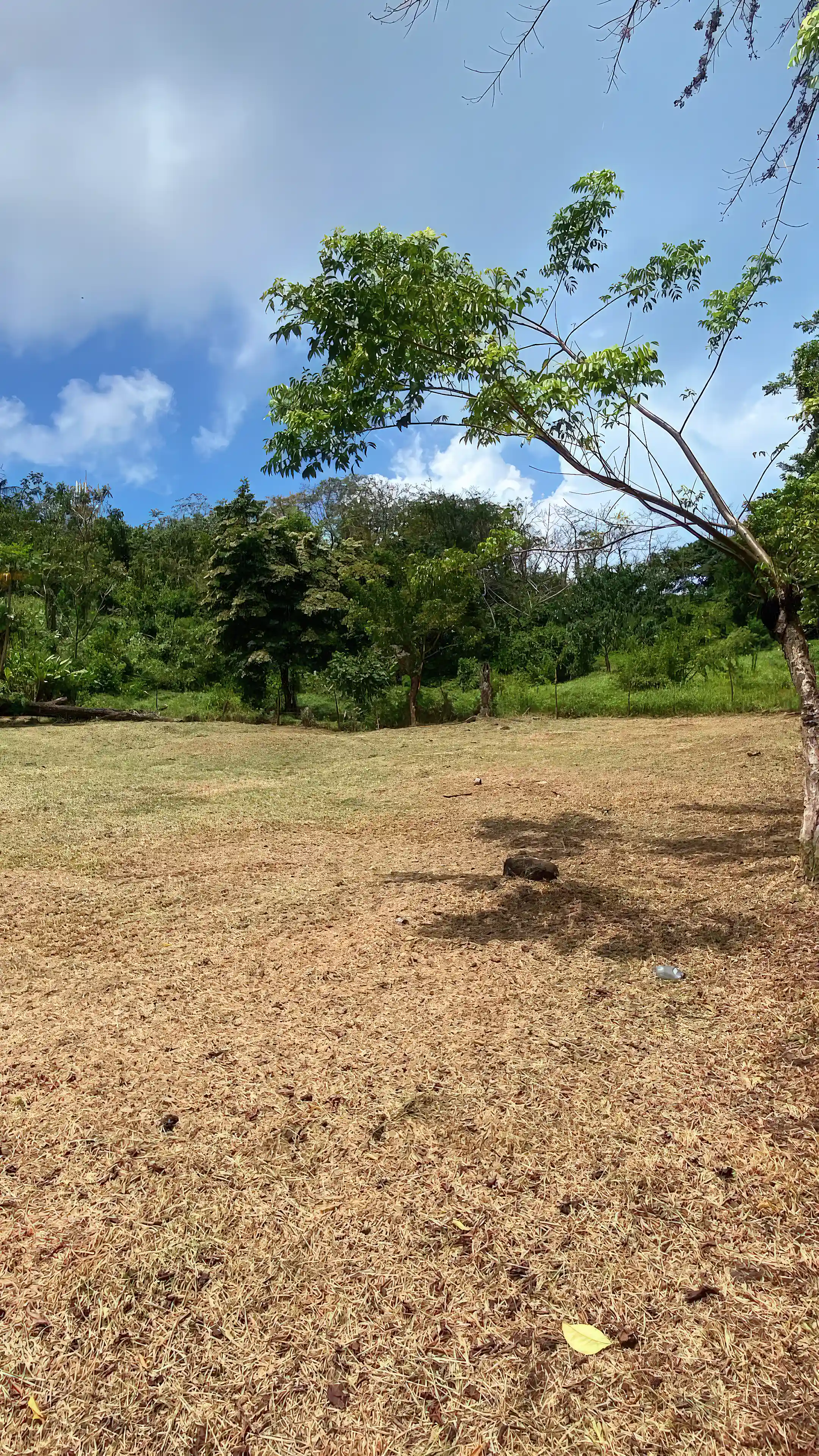 Ocean View Lot for Sale in South End, Mount Pleasant South End, Corn Islands, South Caribbean Coast Autonomous Region, Nicaragua