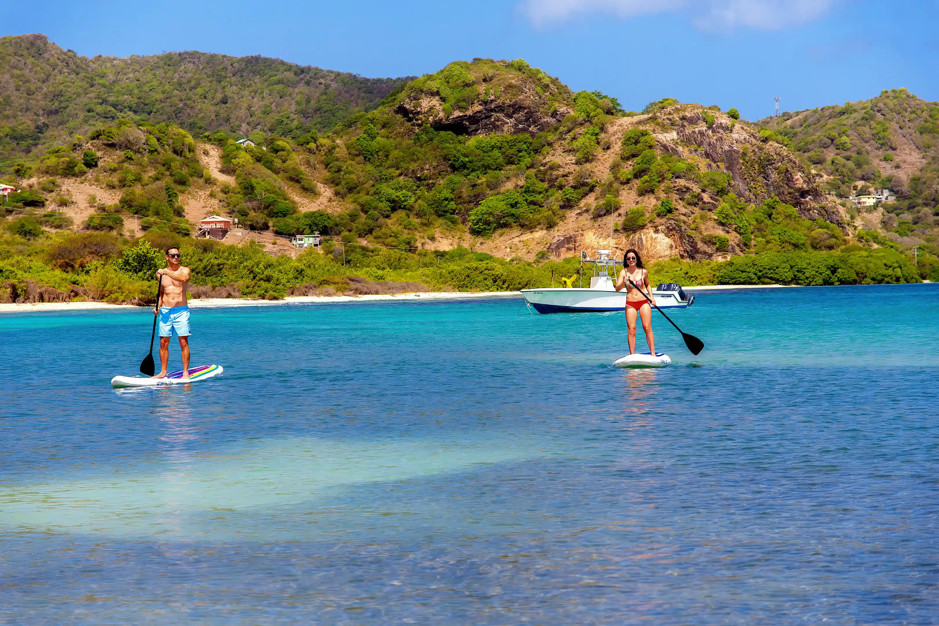 Stand up paddleboard