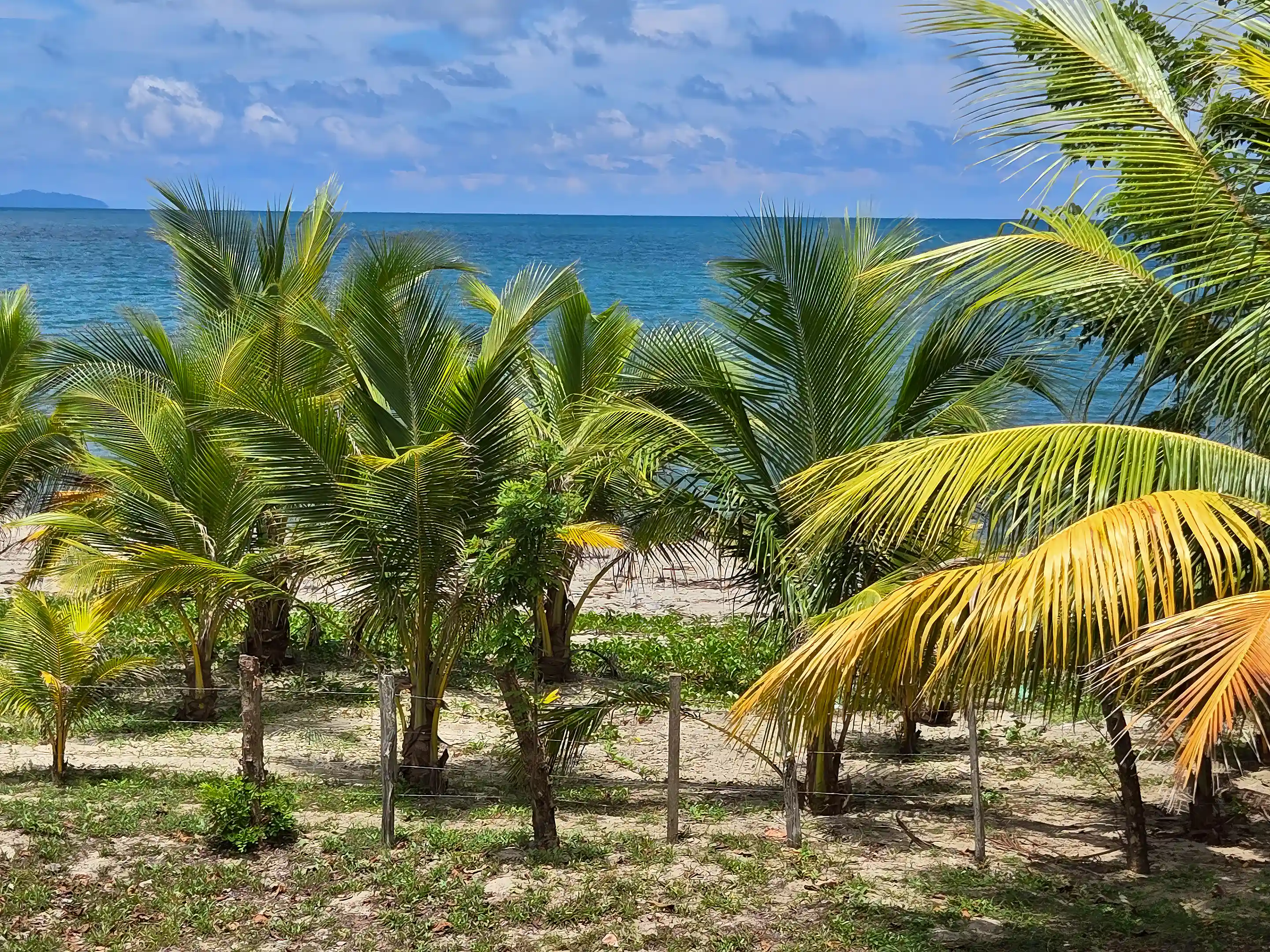 Looking north at the beach and the Caribbean, in Colonia...
