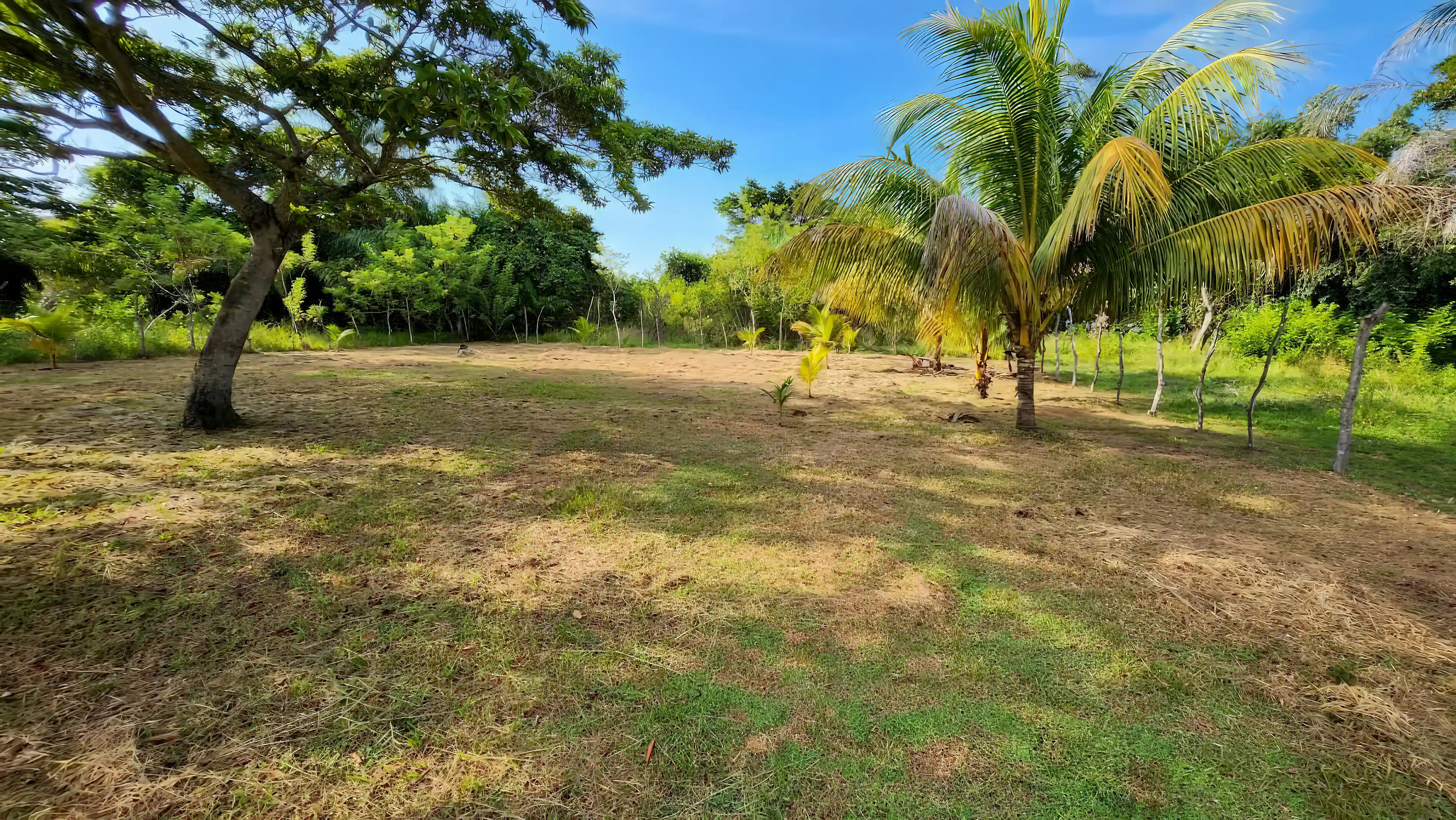 Inside the two lots, before they were separated. Road to...