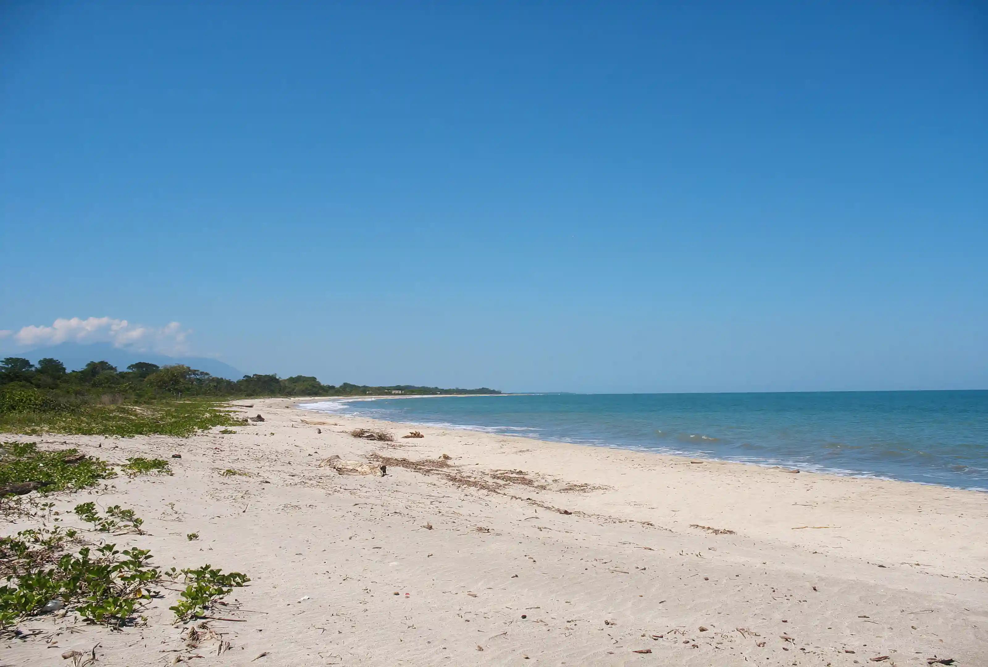 Beach Lots for Sale in Calle De Playa, Colonia Brisas Del Mar, Balfate, Colon, Honduras