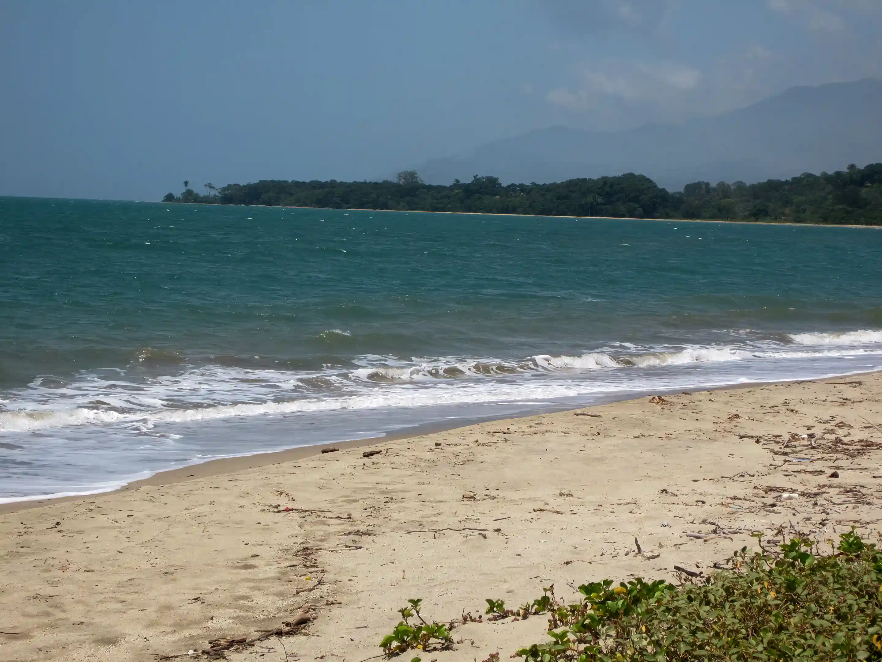 Balfate Beach, looking east, just steps from the two lots...