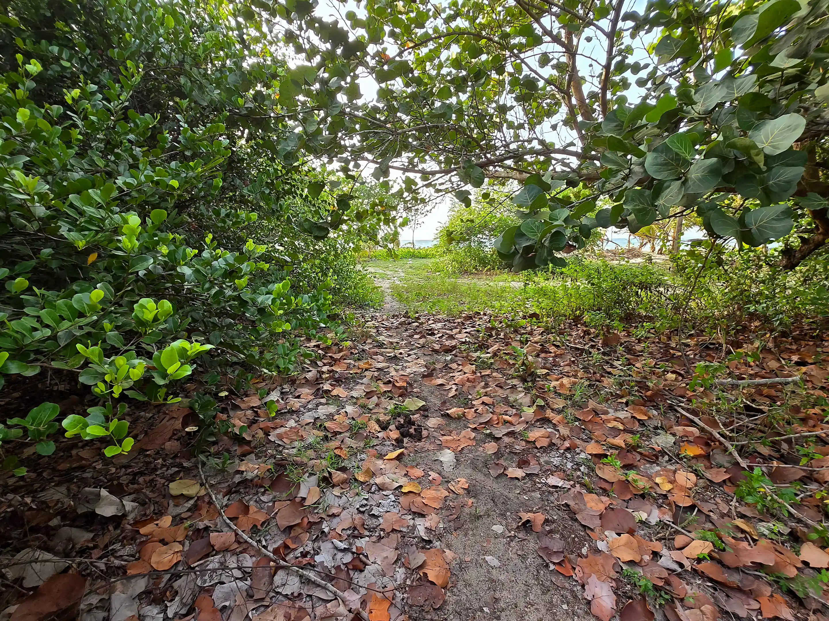 Near the northern end of the road that borders the...