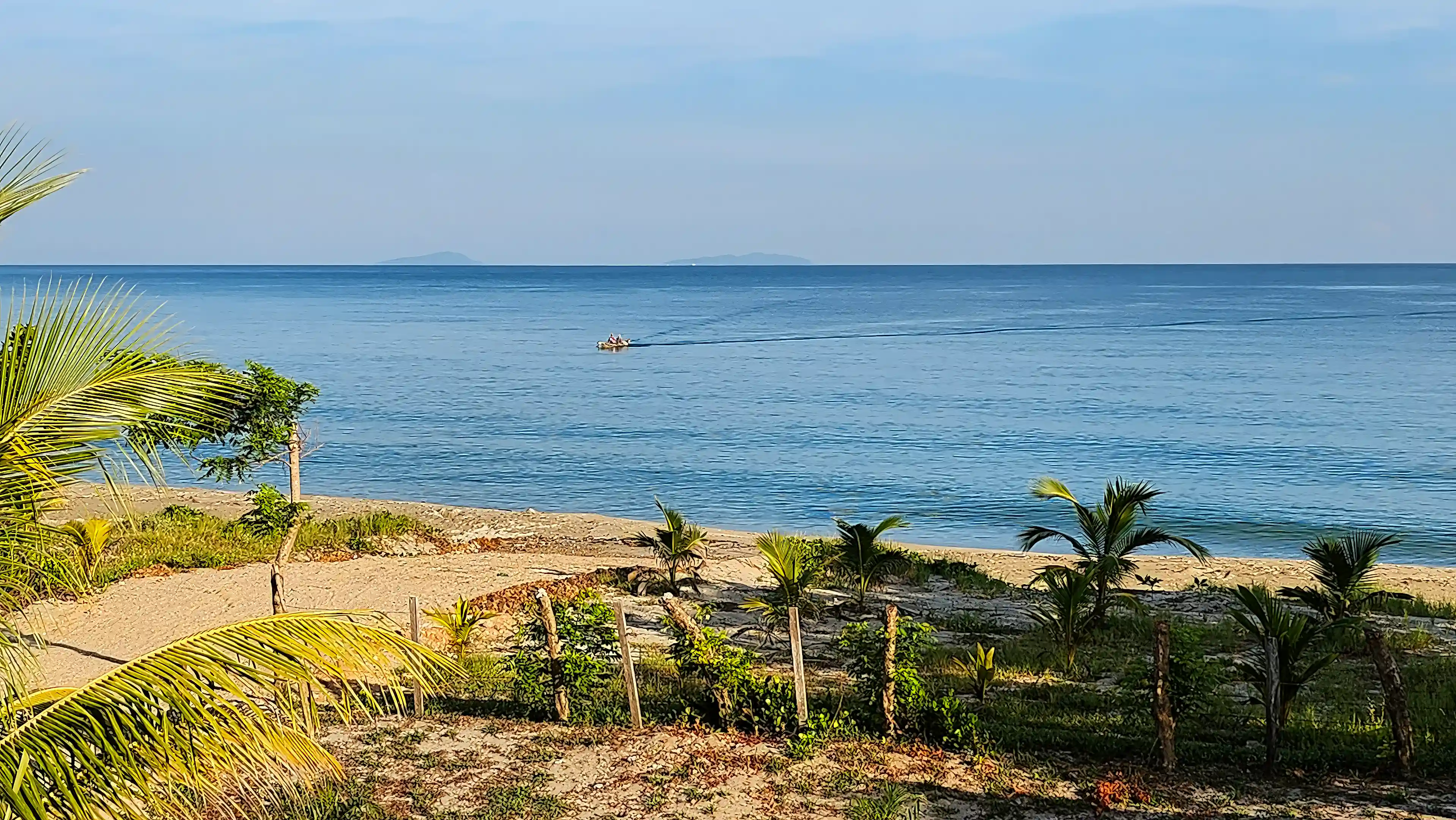 Two fishermen from the Colonia returning at 6:00 AM from...