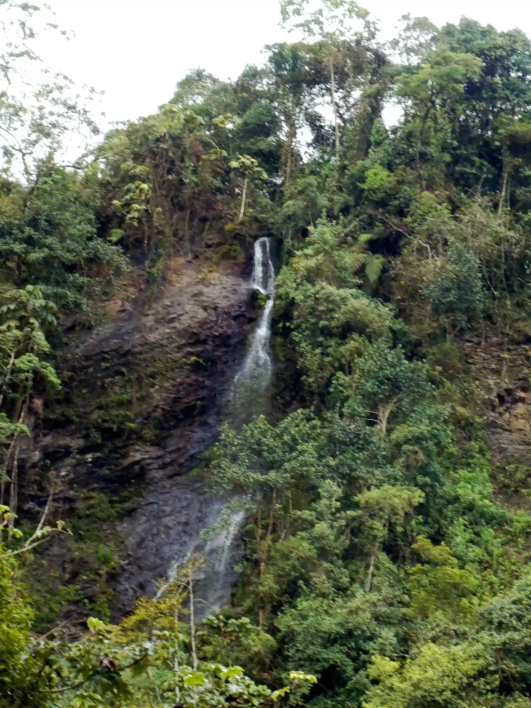 Waterfall in the cloud forest