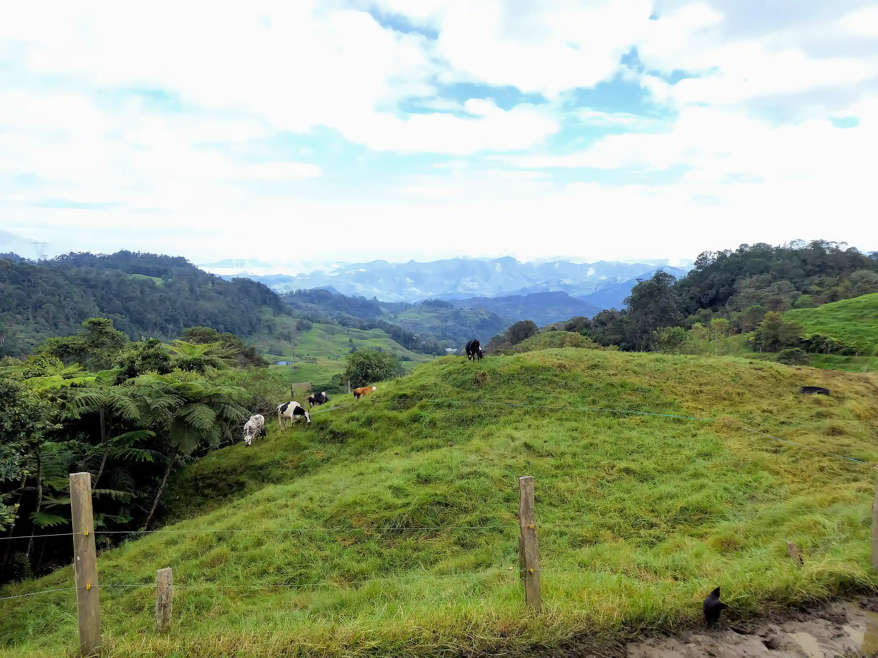Cloud-Forest Cattle Ranch for Sale in San Francisco, Cundinamarca, Colombia