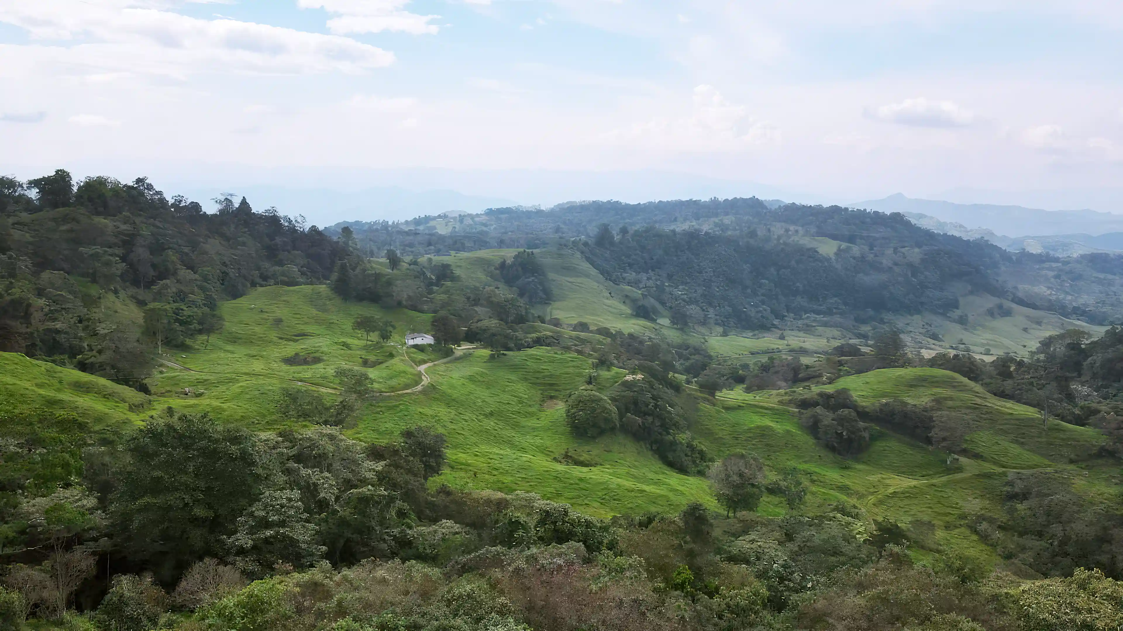 View across the farm's pastures and forest