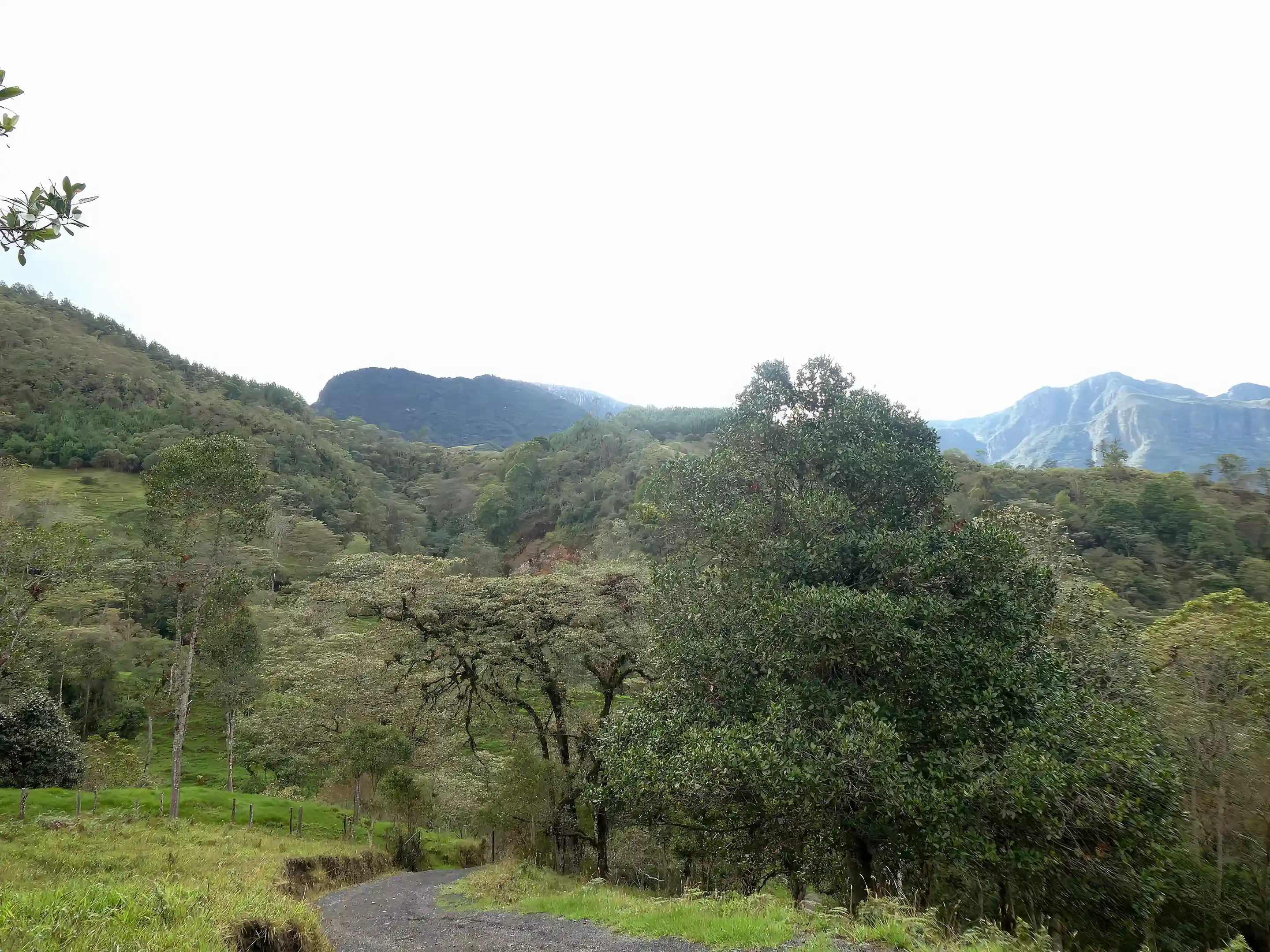 One of the farm's 15 km of internal roads