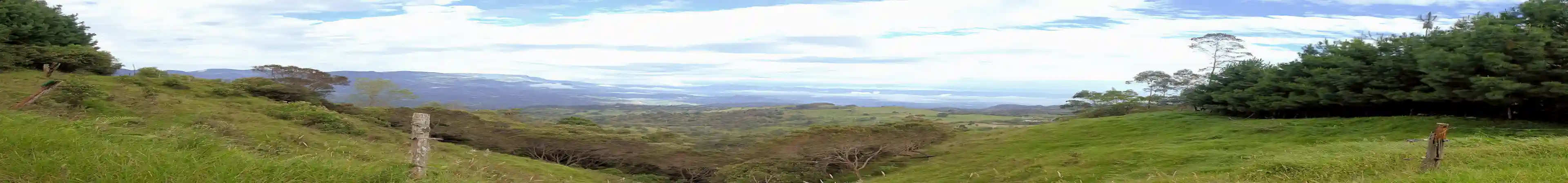 View across the valley from the upper pastures