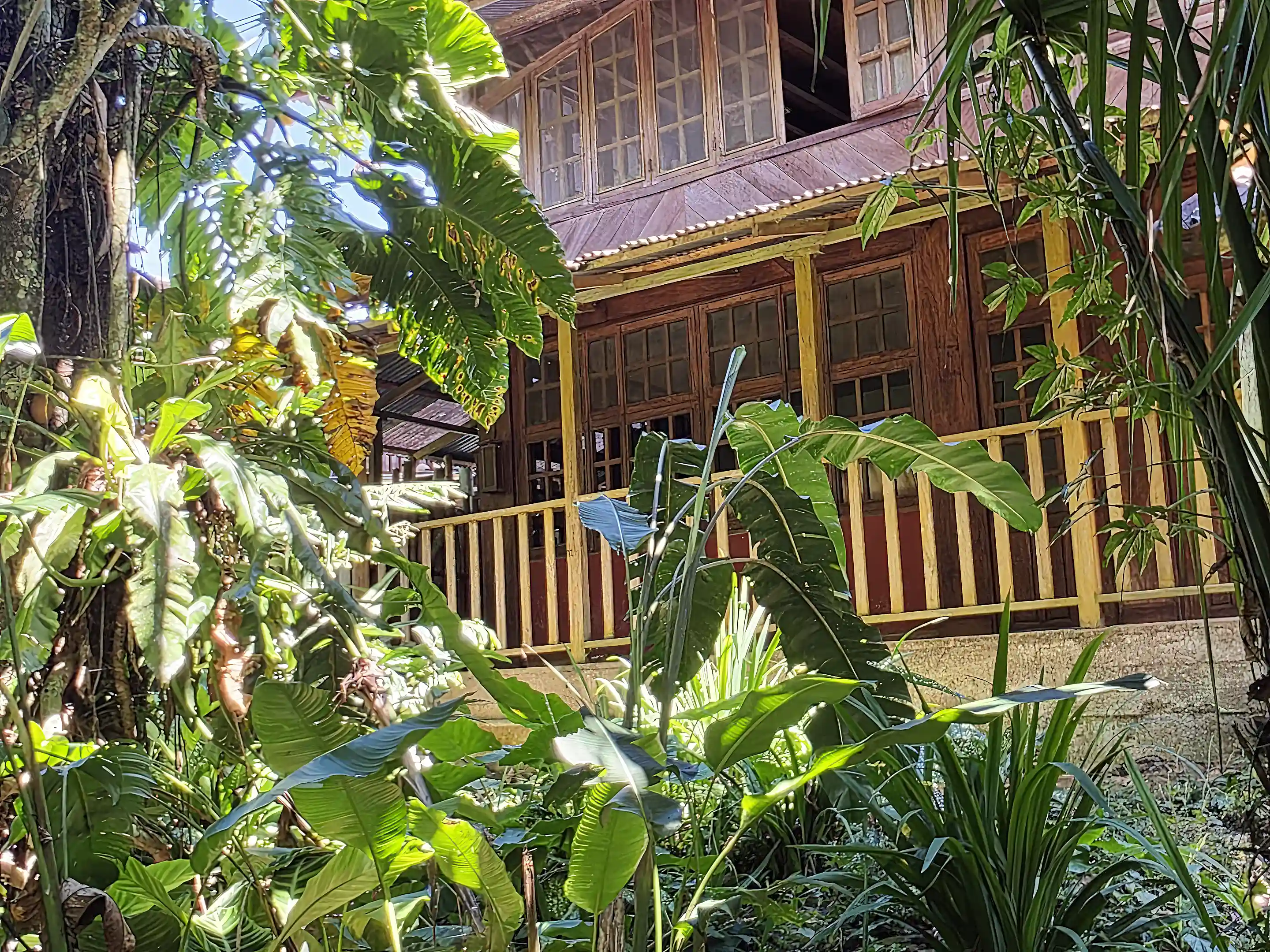 View of the house from our little jungle backyard