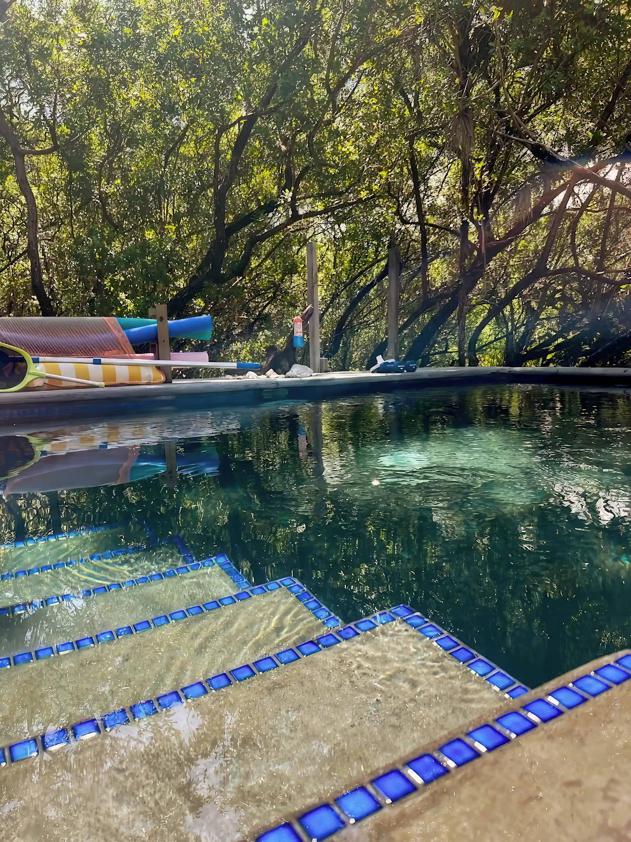 View of the Pool amongst the tree canopy. Privacy is...