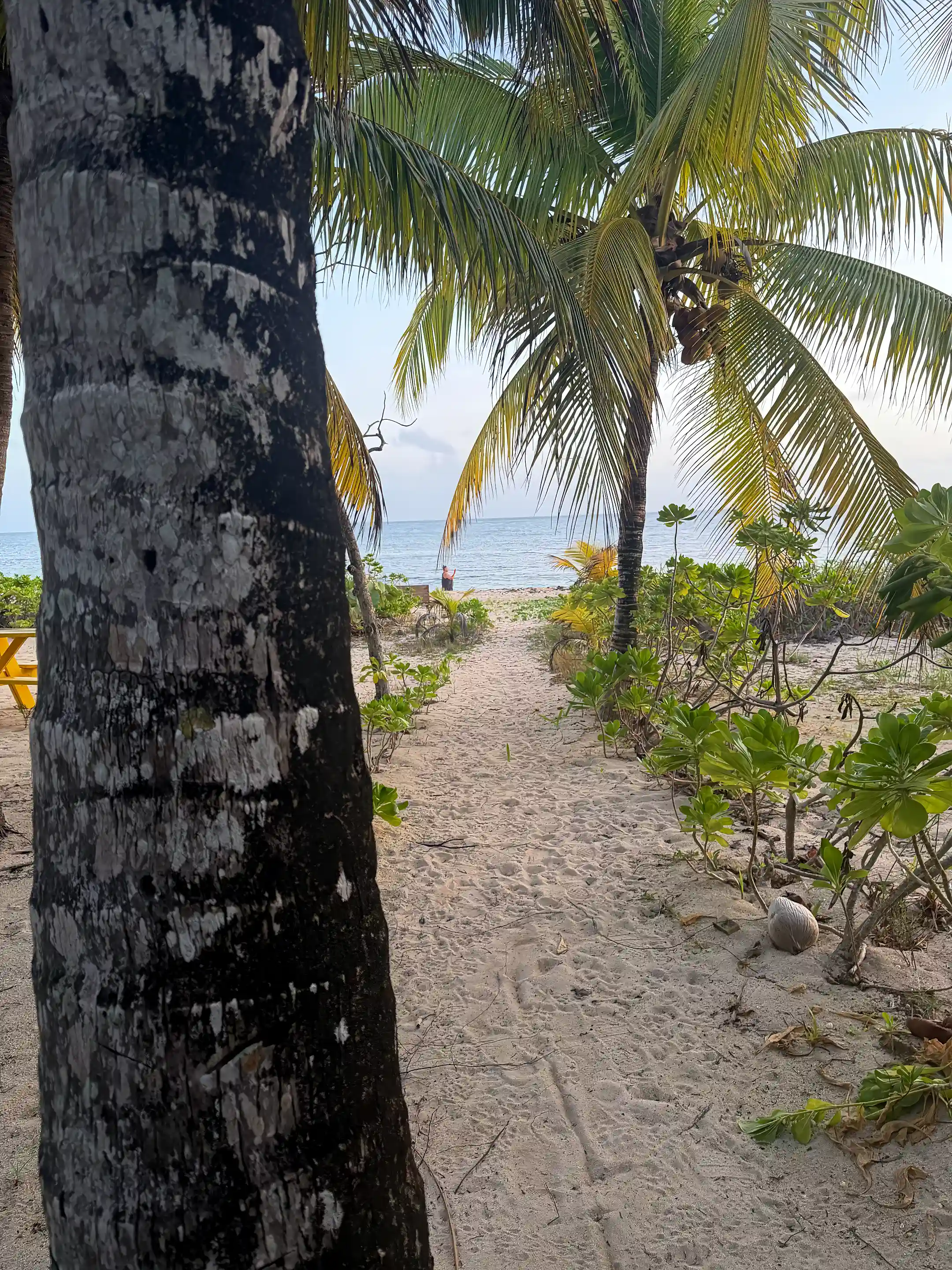 Our dedicated Beach Path to the Sea.