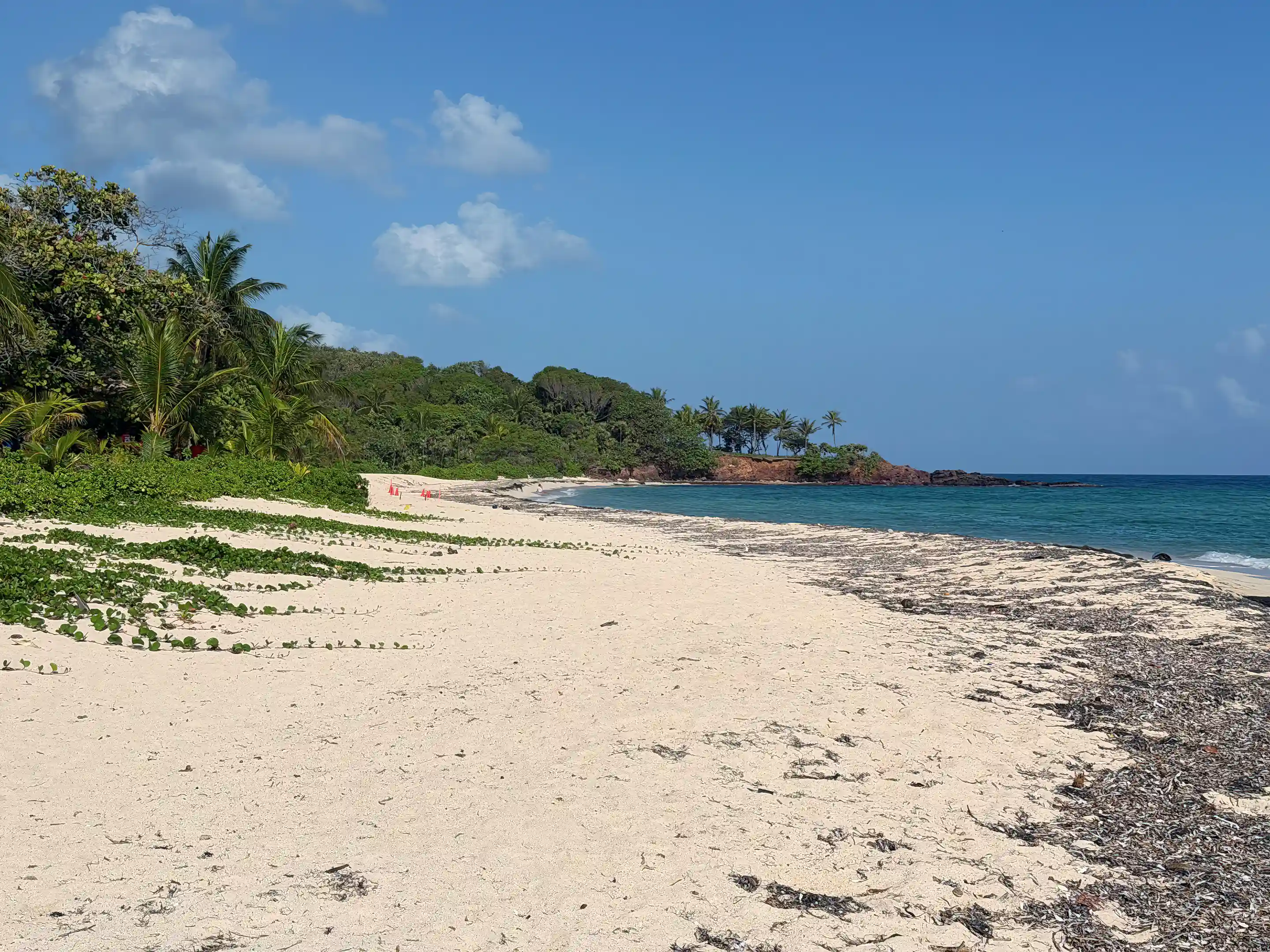 Camp Bay Beach