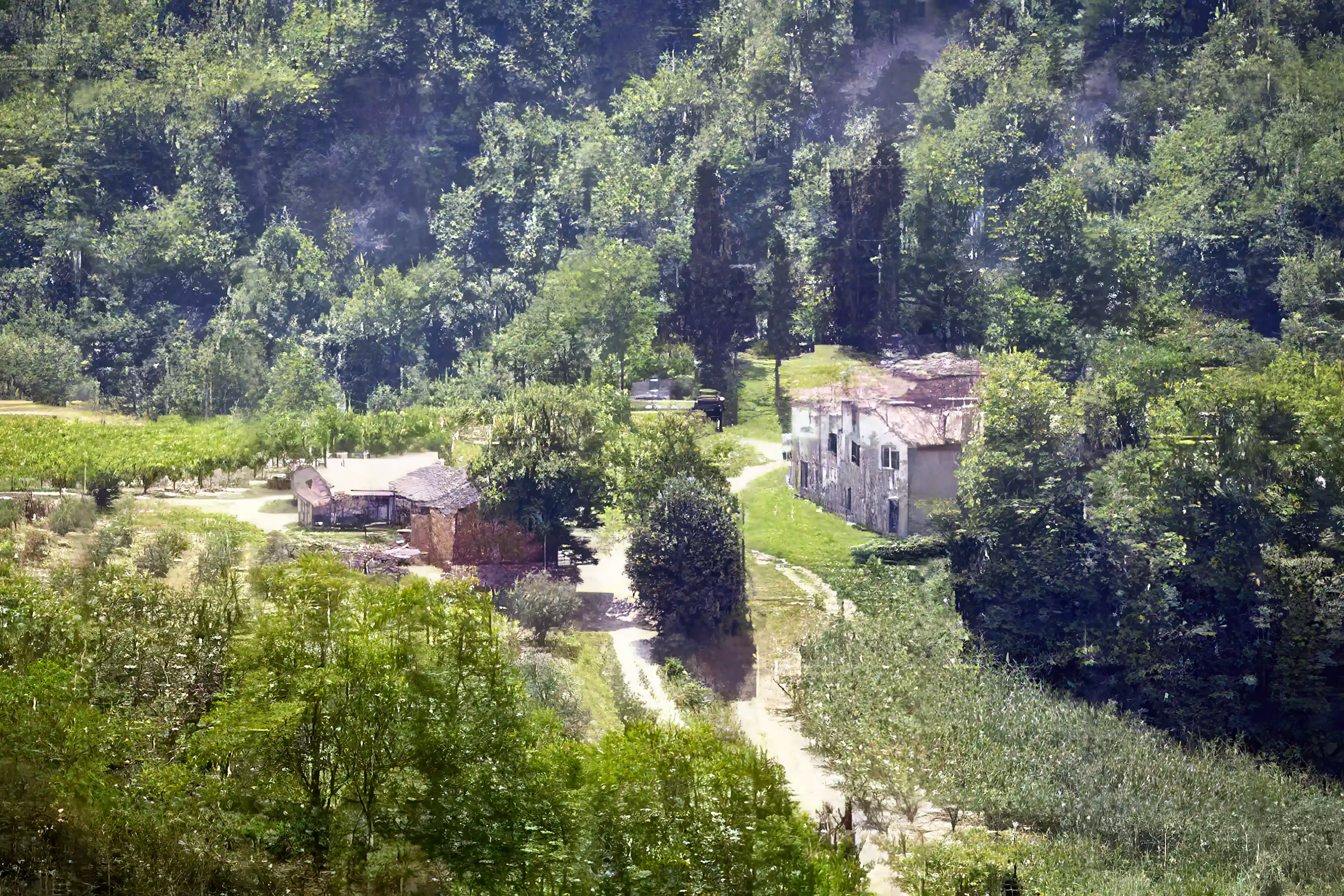 Farm/Ranch for Sale in Modigliana, Tuscany, Italy Viviun