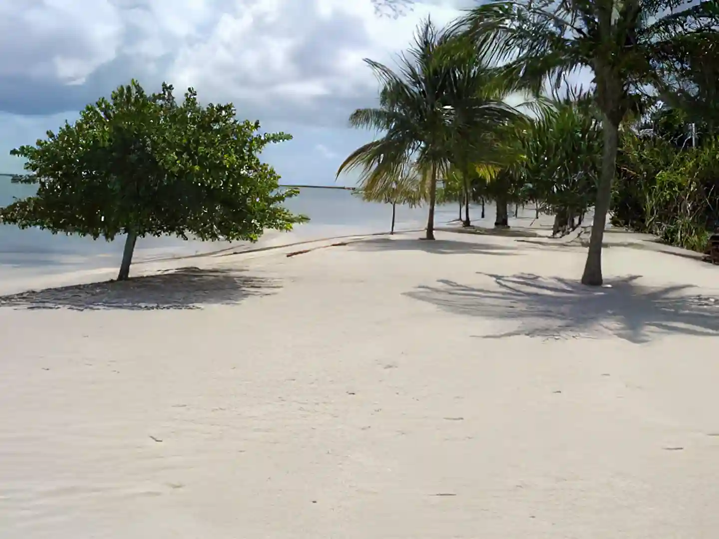 Condo for Rent in Cayman Islands