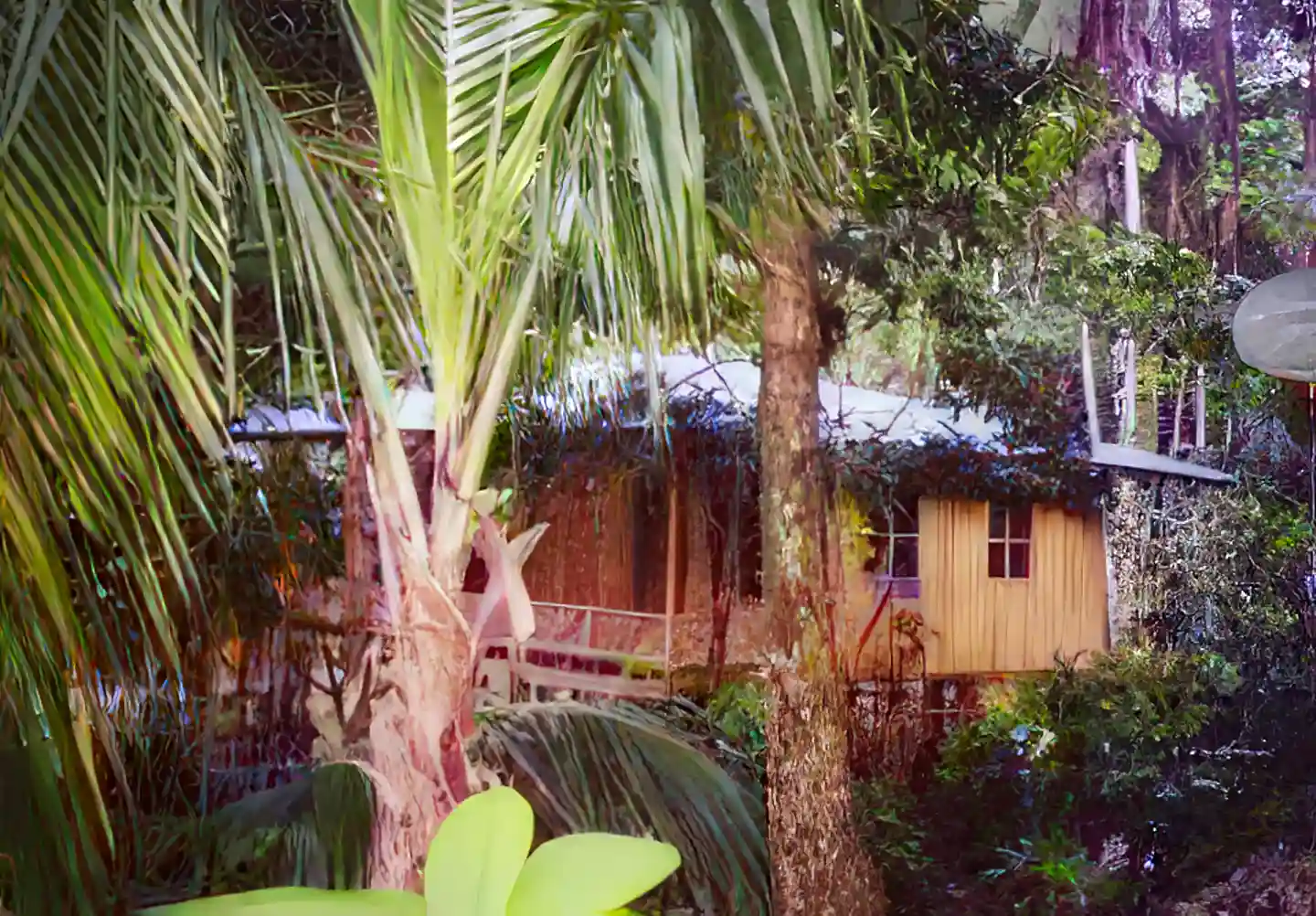 Villa for Rent in Costa Rica