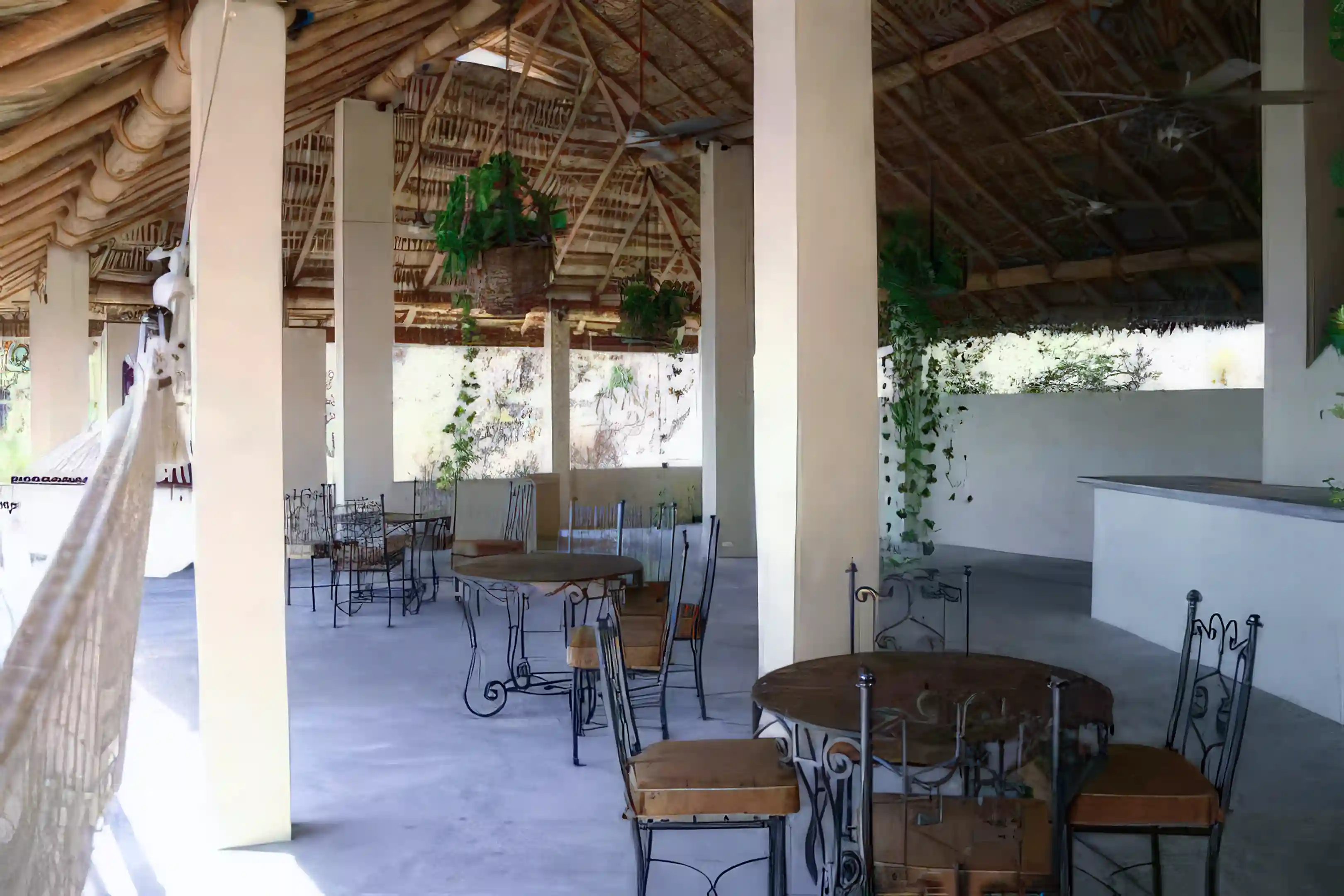 Palapa