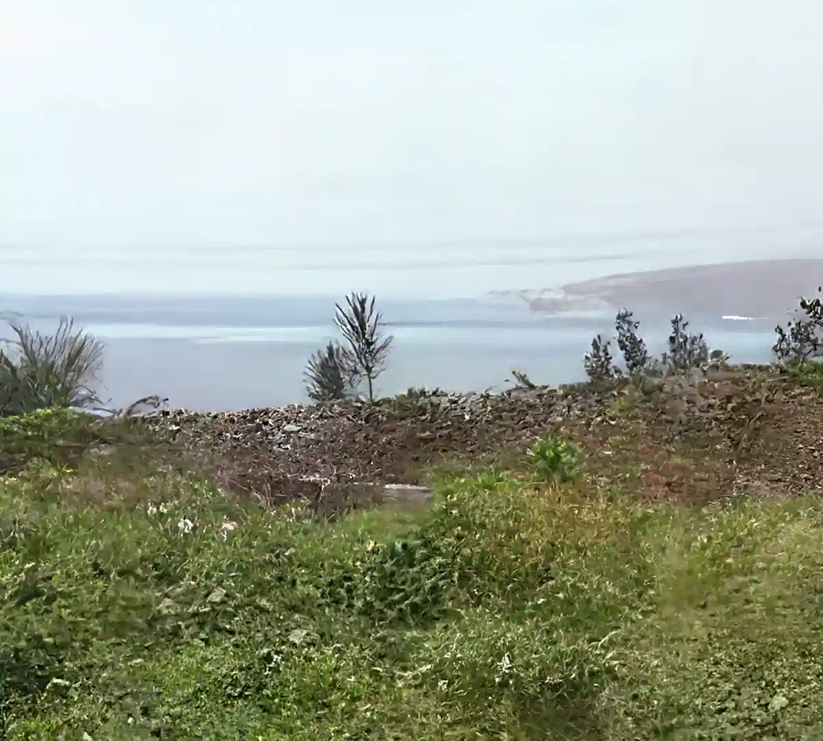 Lot/Land for Rent in Dominica