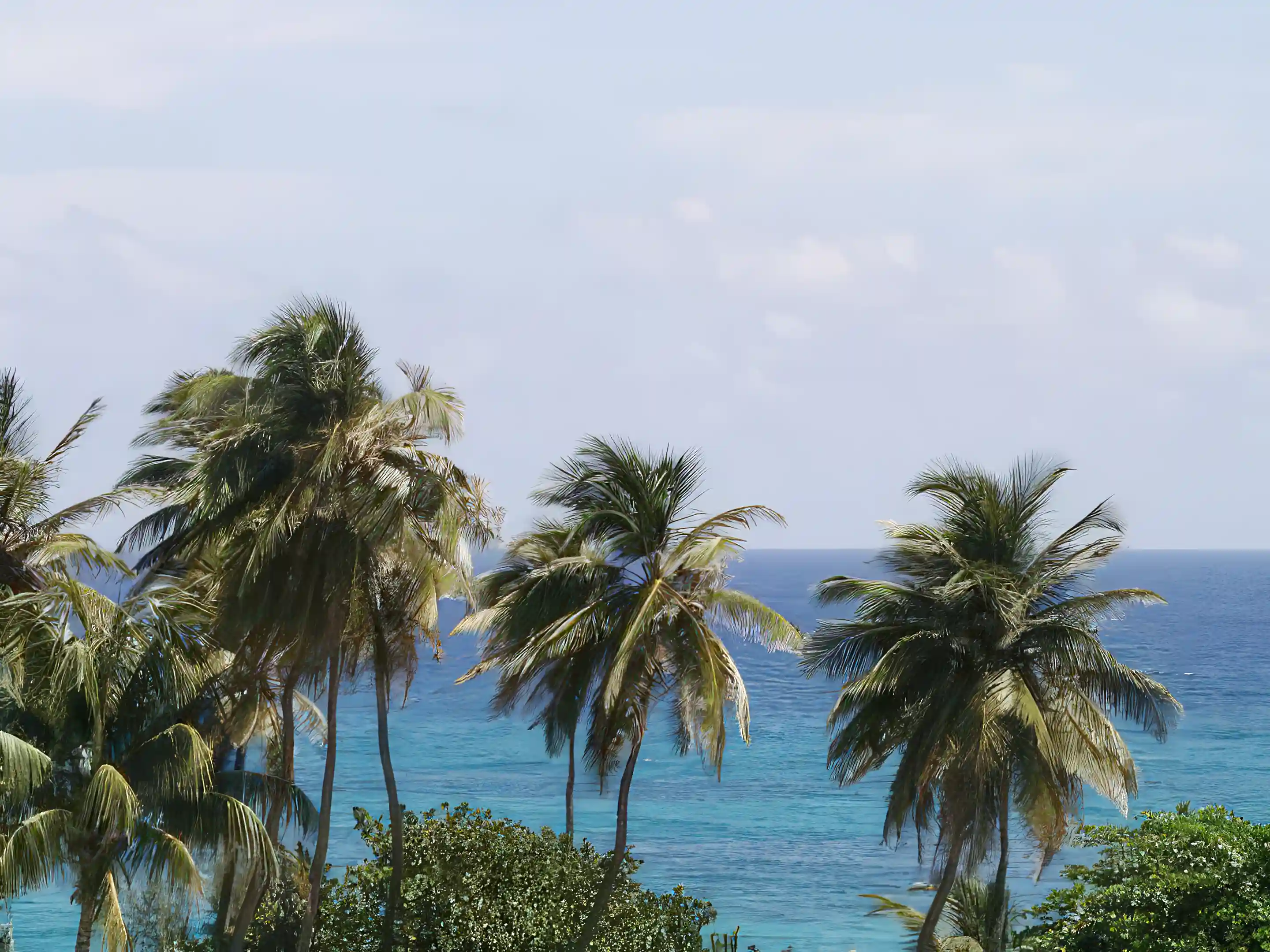 Beach Pennhouse for Sale in Isabela, Puerto Rico