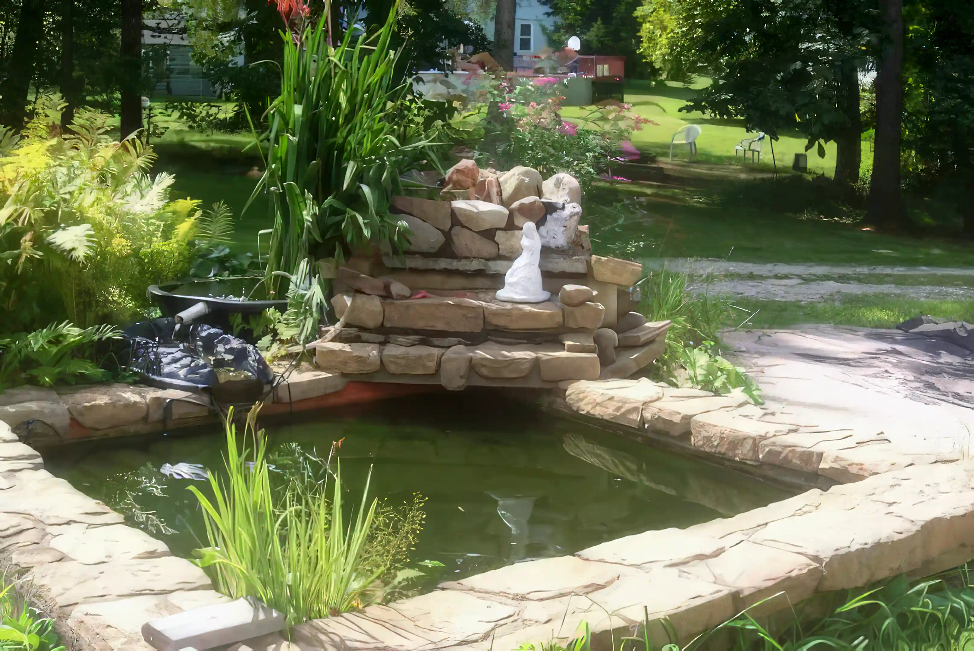 Koi pond