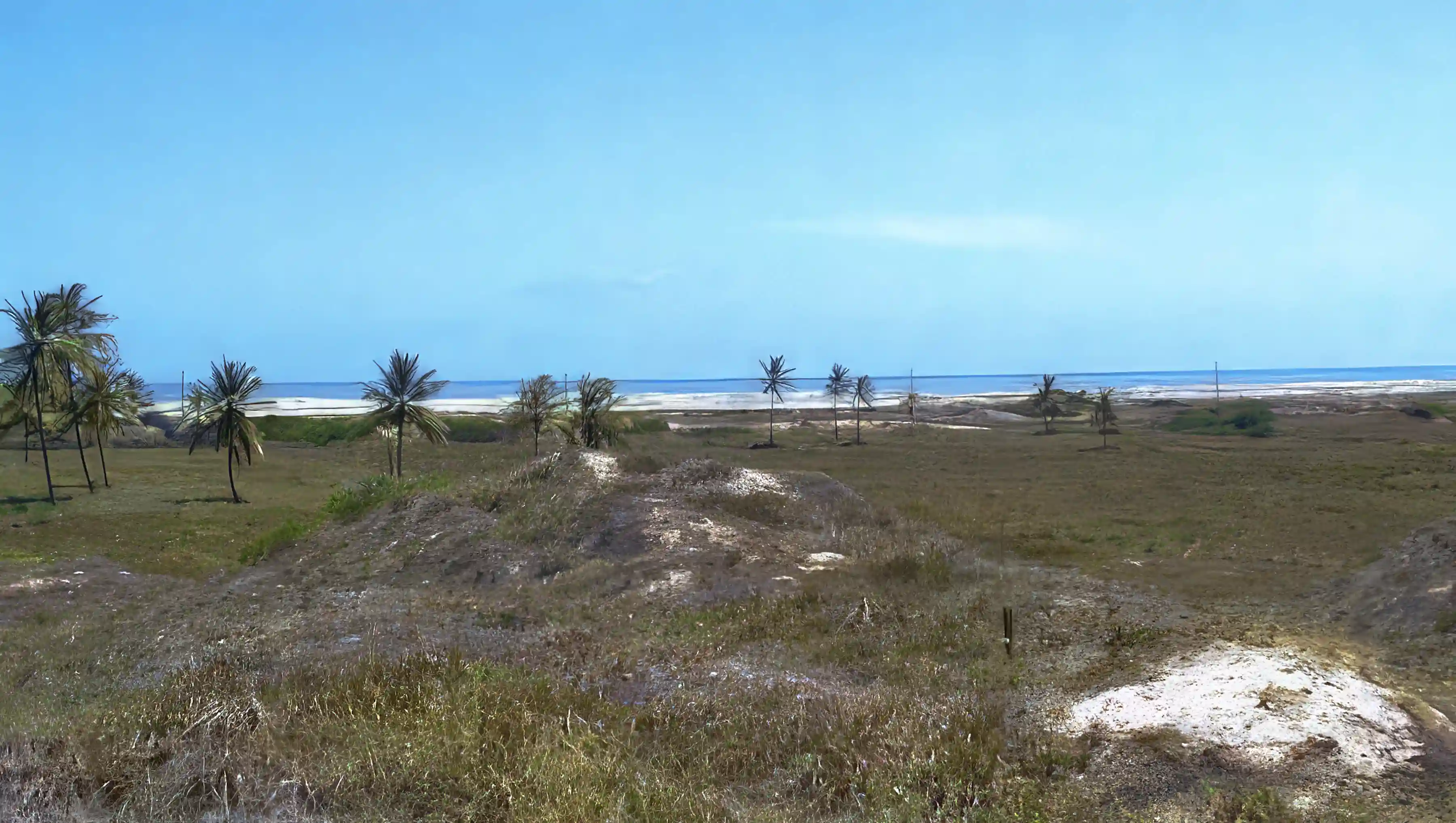 Just a small part of our development site