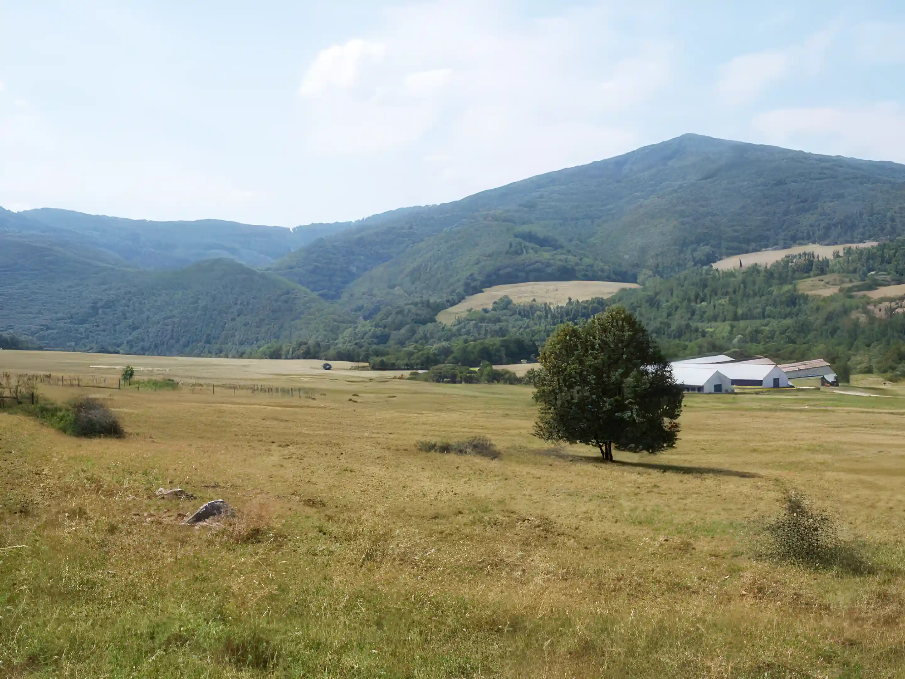 All Types of Properties for Sale in Slovakia