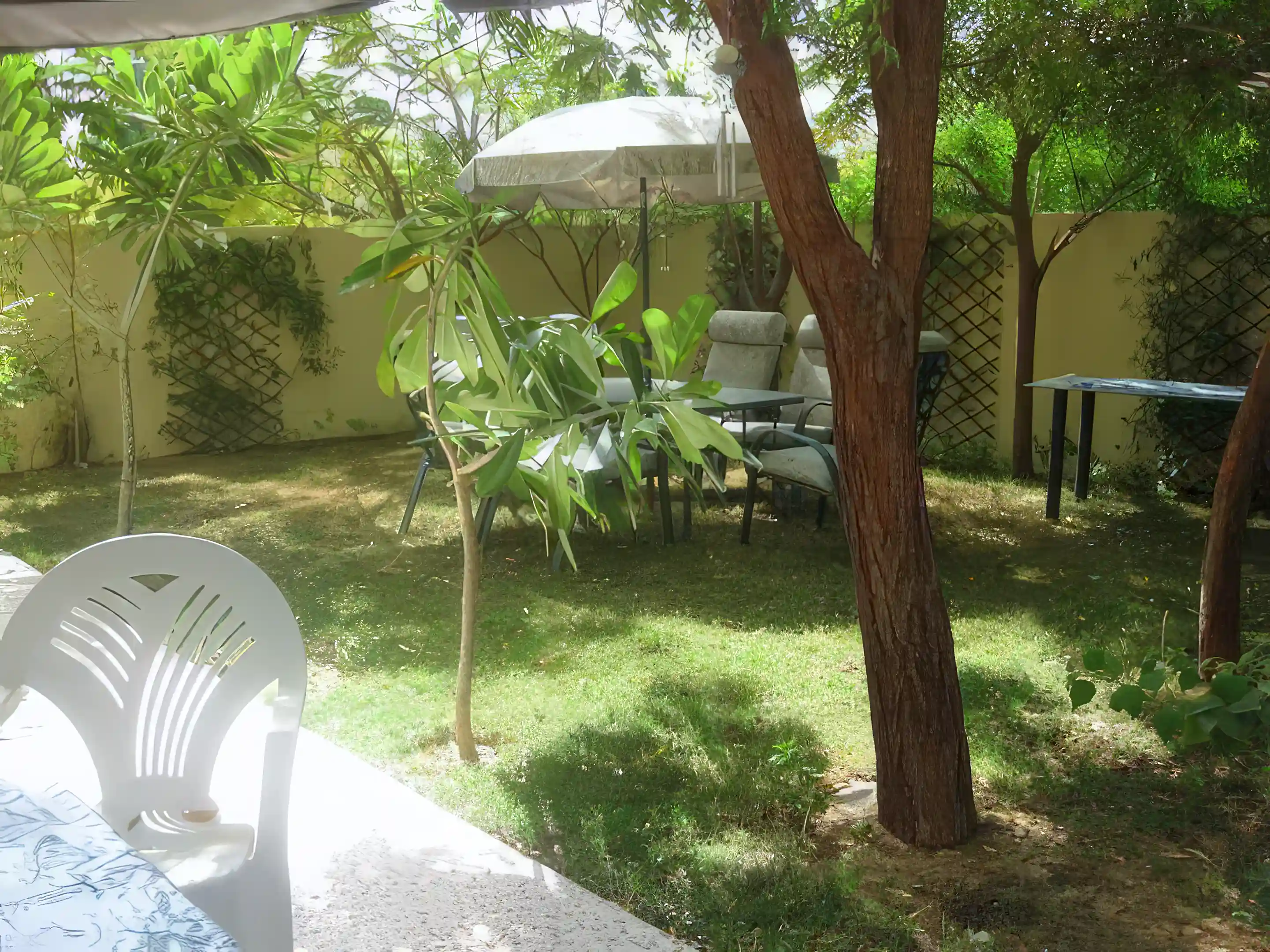garden view