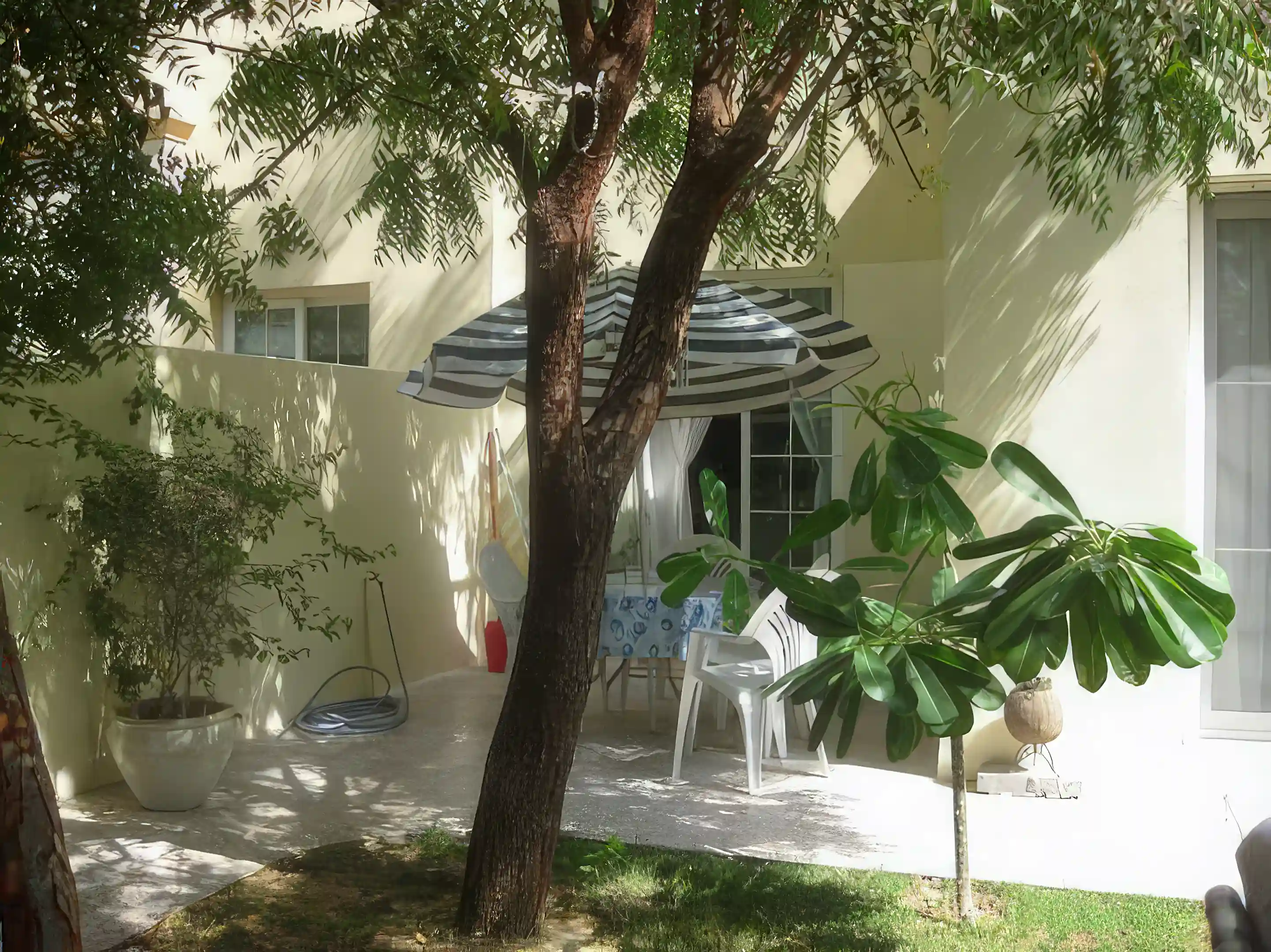 garden