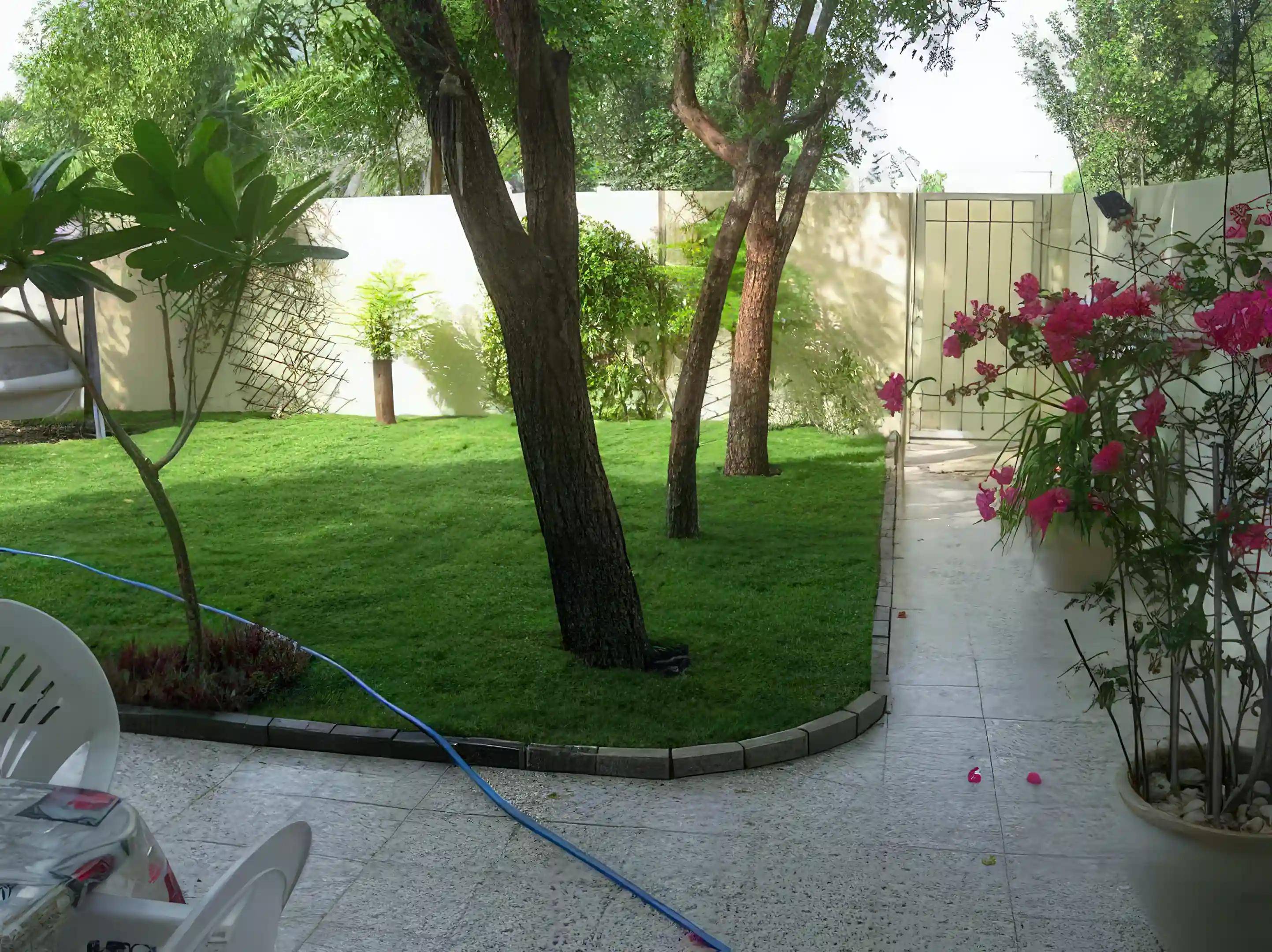 garden view