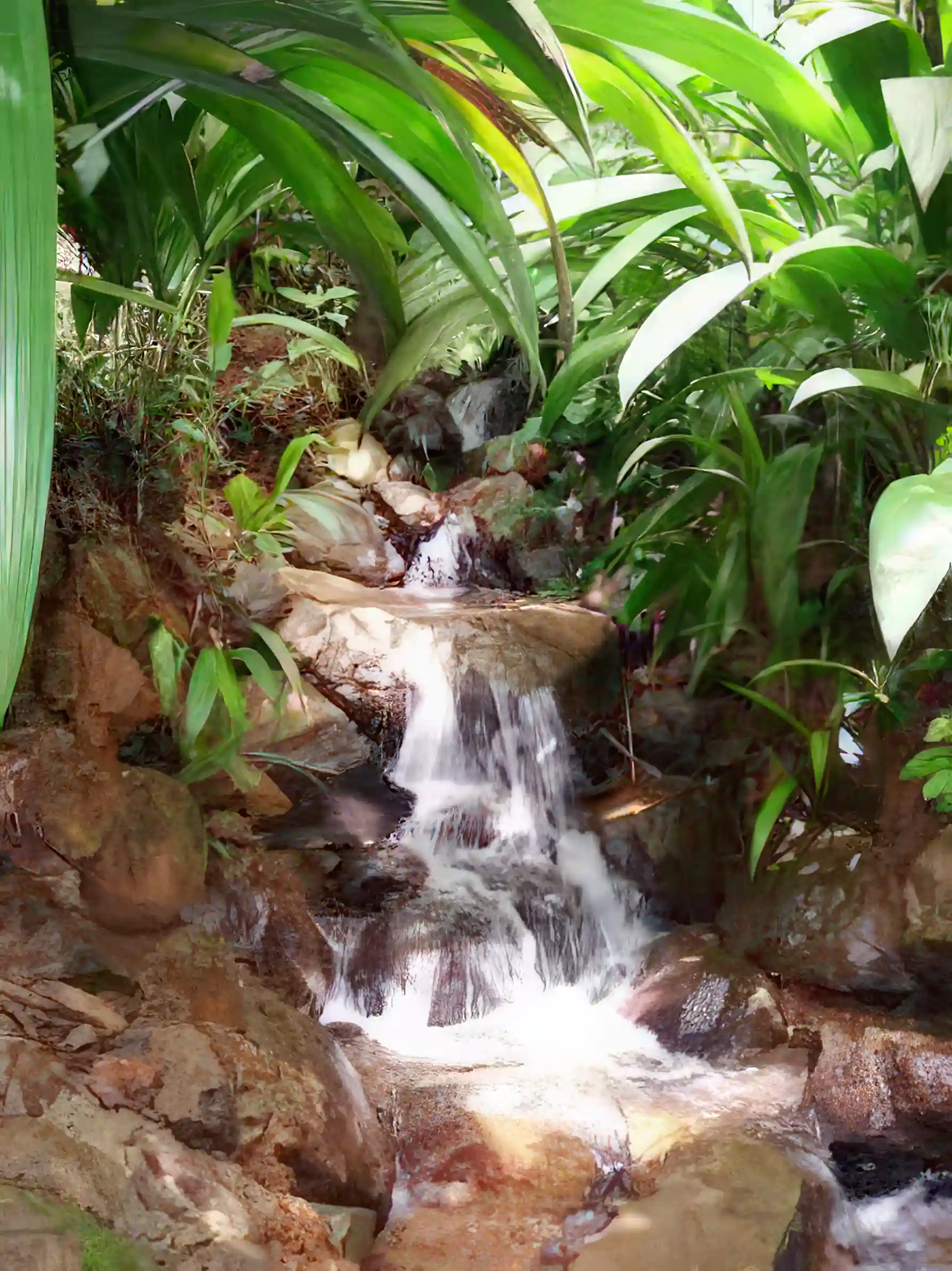 Elegant Home with Guest House for Sale in San Rafel Norte P.z, San Jose