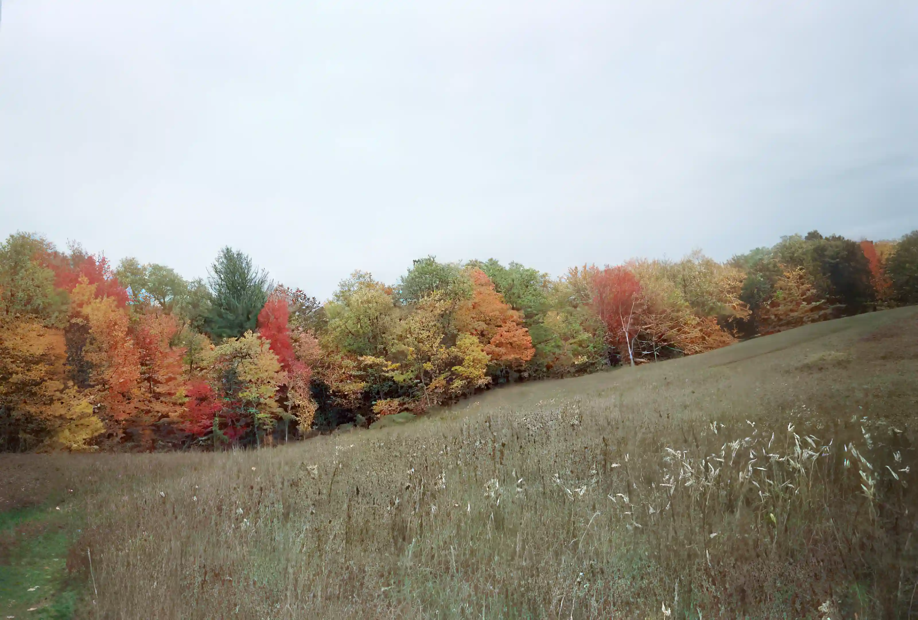 Looking south in back end of middle field.