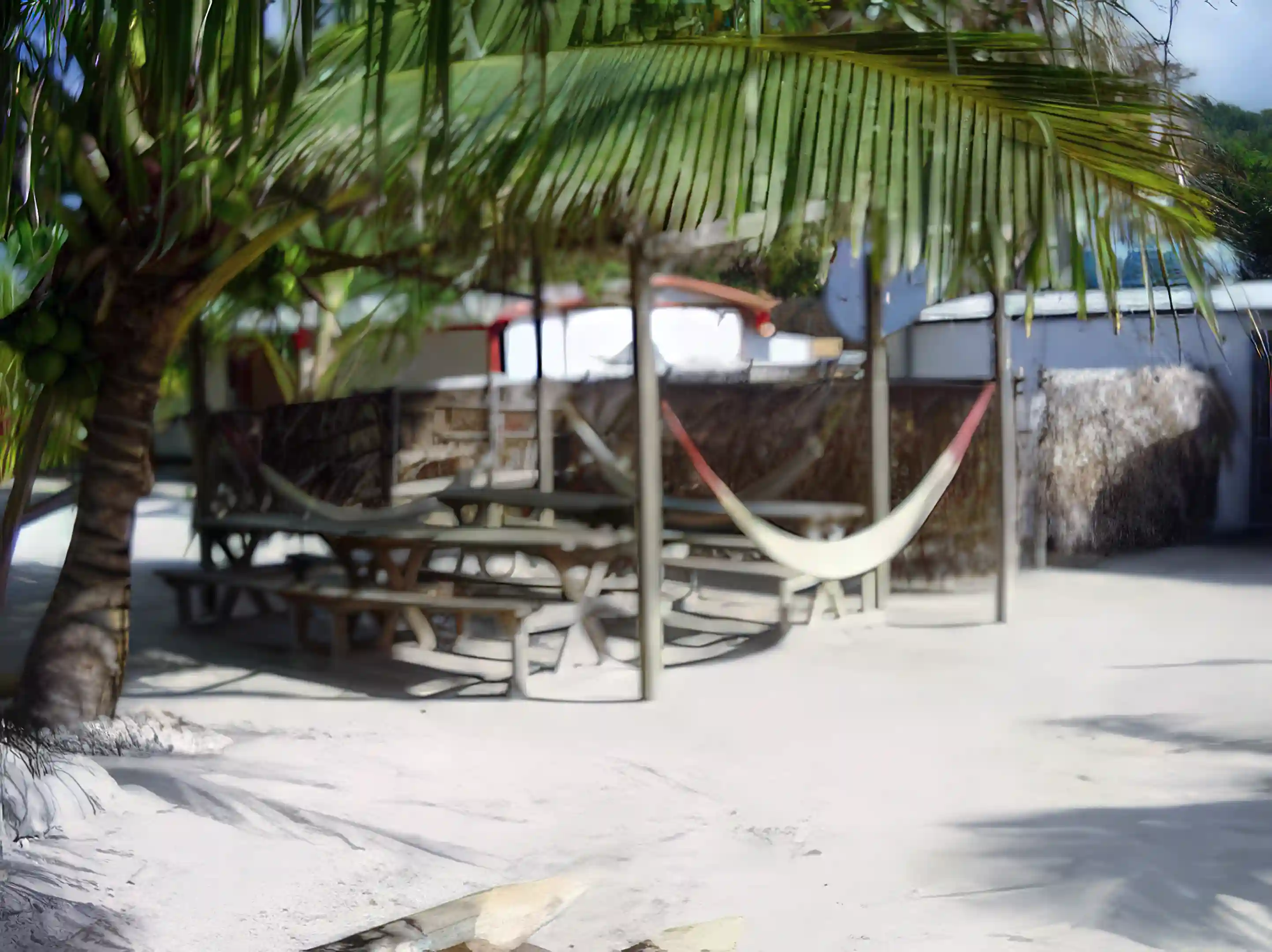 hammock and picnic table area